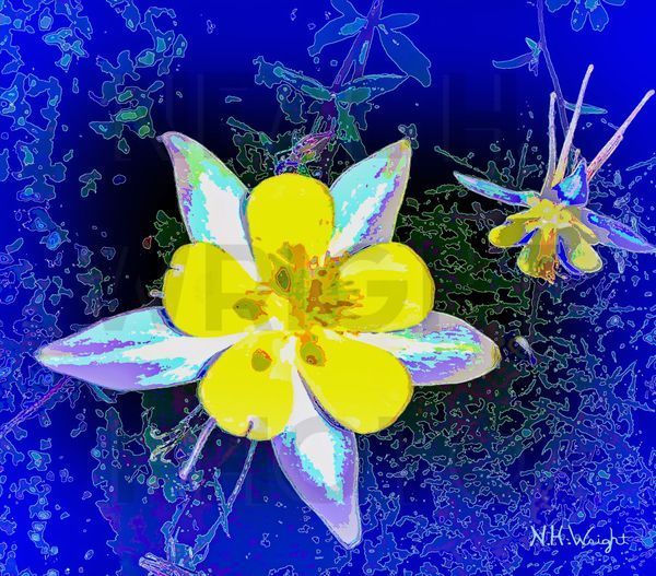Columbine Pai Abstract Blue Vignet