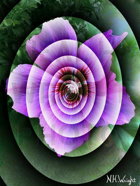 Samanthas Purple Hibiscus En 3D Glass Swirl, 
#SamanthasPurpleHibiscusEn3DglassSwirl