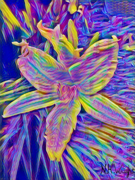 Varigated Paint Flower