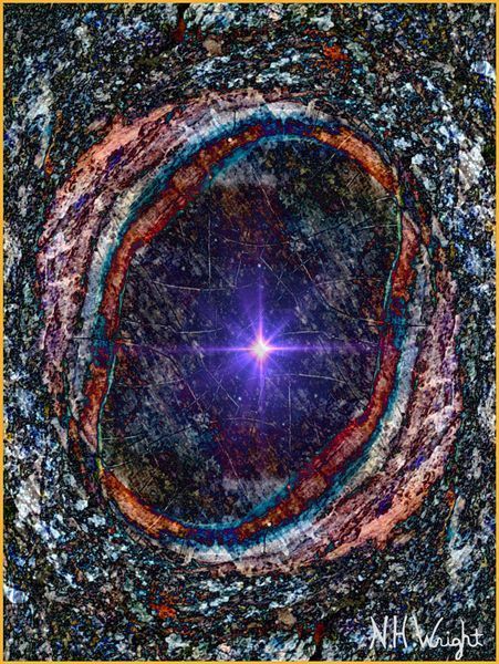 Tree Portal Number 9