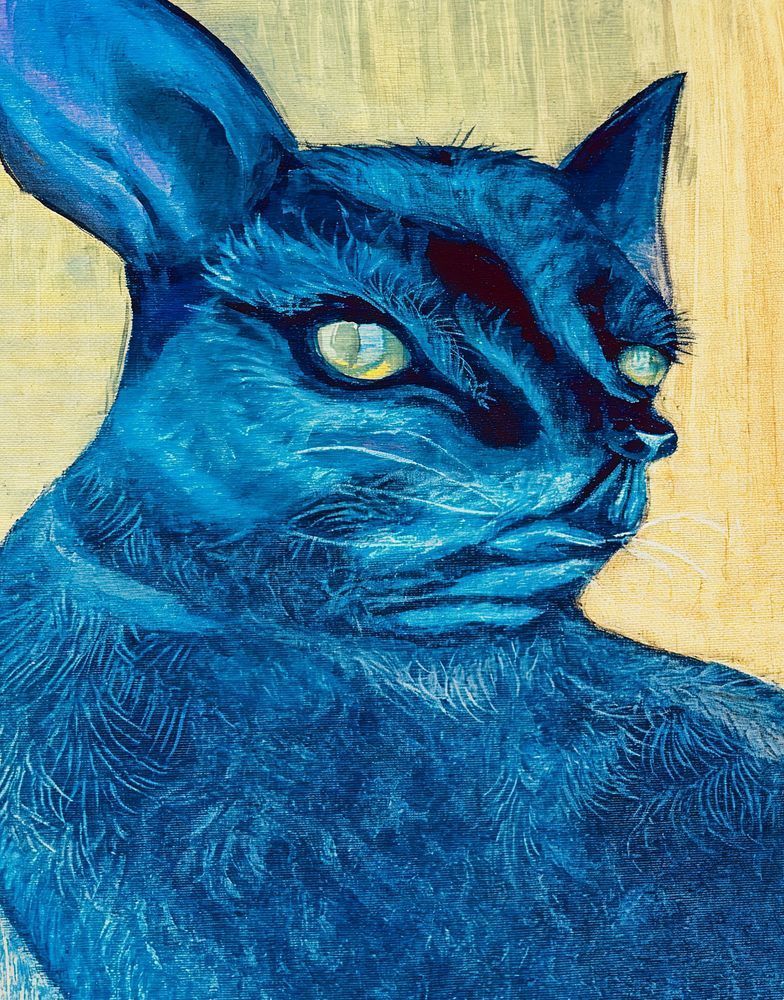 Black Cat Art | Tina Art 
