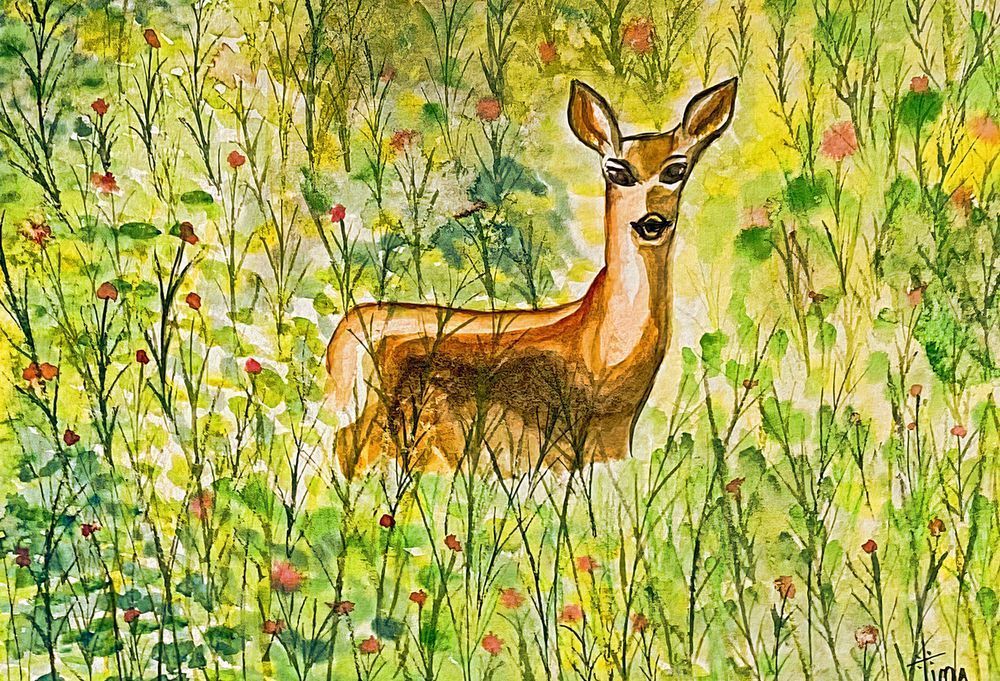Spring Deer Art | Tina Art 