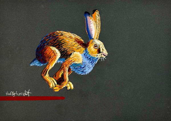 Chris R. Wright Artist Rabbit Jackrabbit Art | Art By Holly Wright