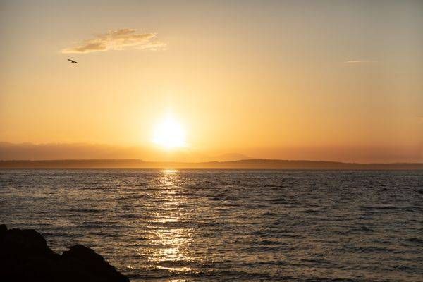 Sunsets