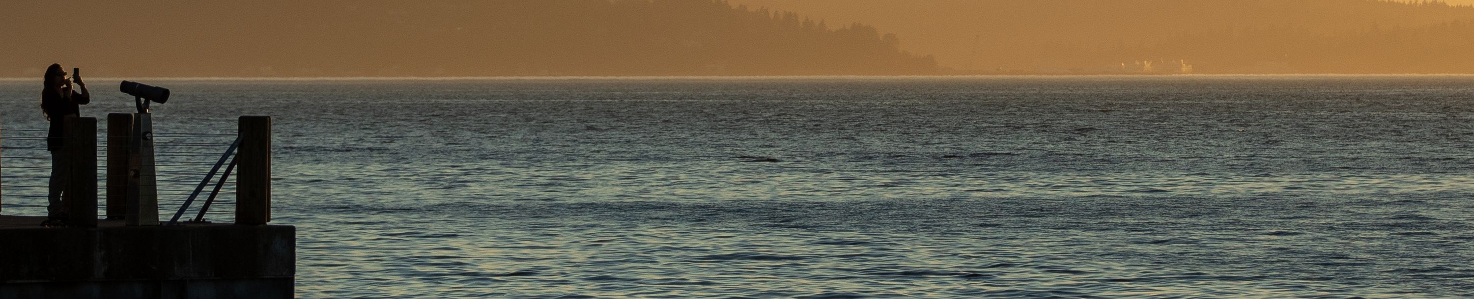 
        <div class='title'>
          Puget Sound Pier banner
        </div>
       