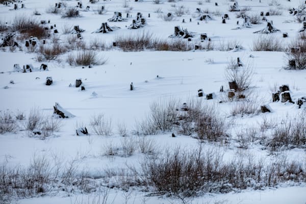 Frozen Lake