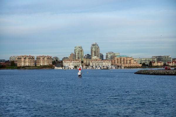 Harbour Line: Victoria Awaits