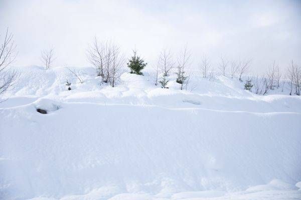 Snowdrifts