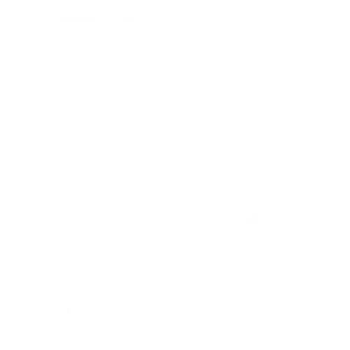 LESLI BONANNI