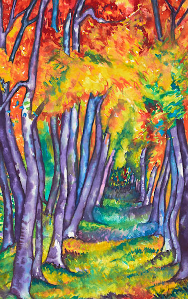 Landscapes