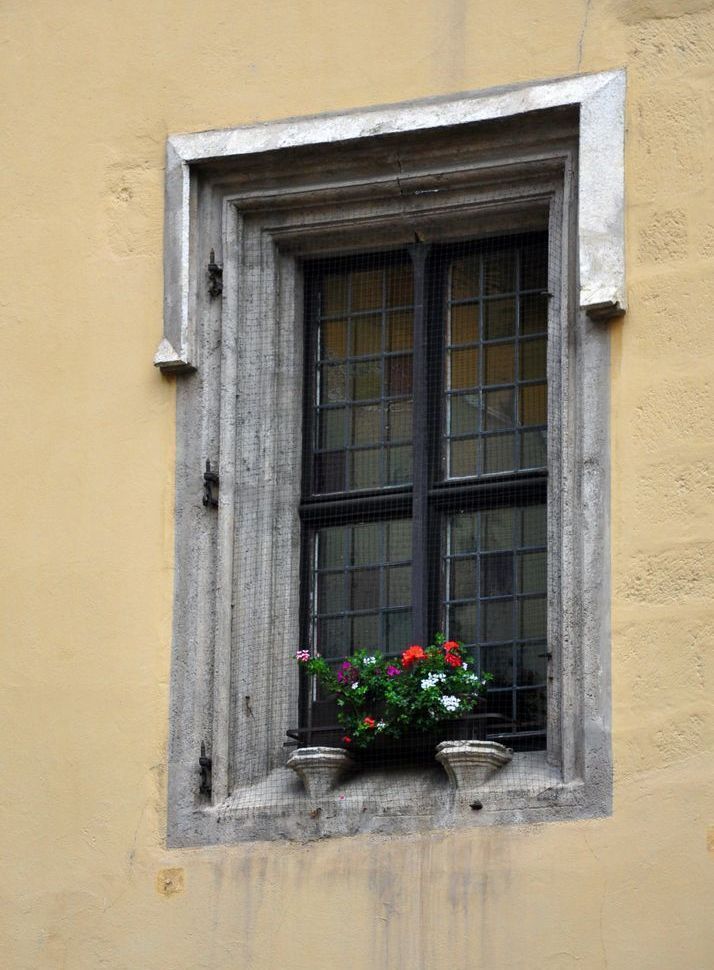 Blumen In Der Witwe Art | tommurray
