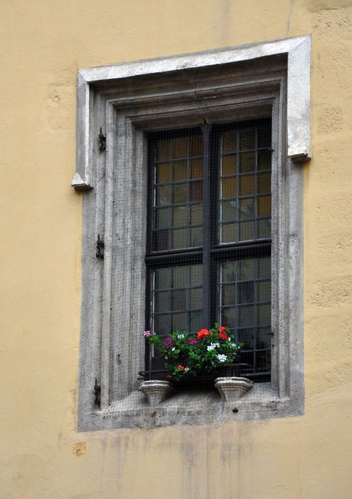 Blumen In Der Witwe Art | tommurray
