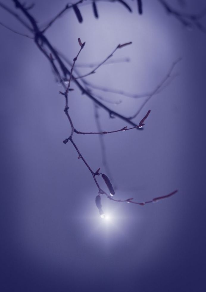 Jewel In The Mist Art | tommurray