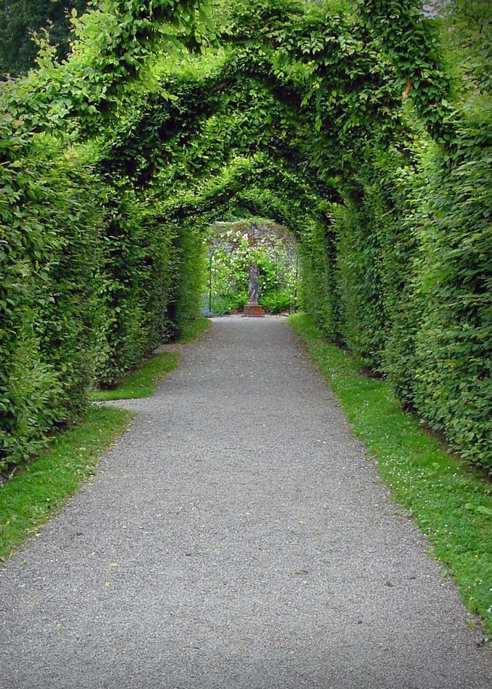 Arbor At Birr Castle Art | tommurray