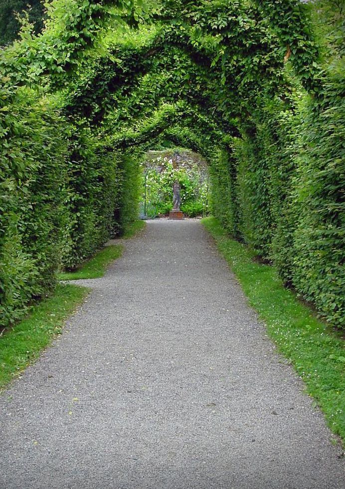 Arbor At Birr Castle Art | tommurray