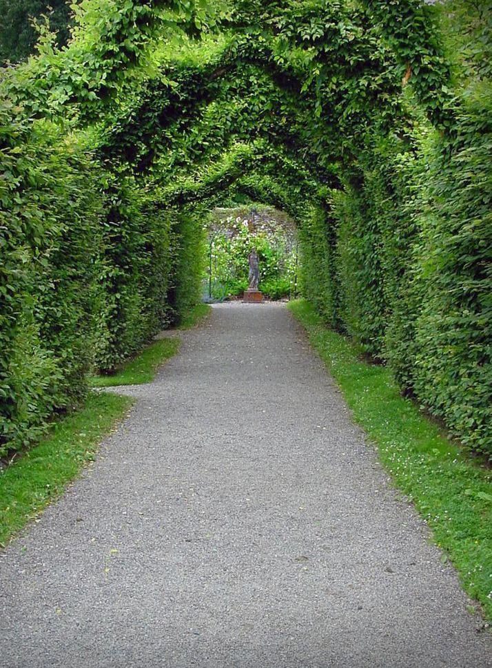 Arbor At Birr Castle Art | tommurray