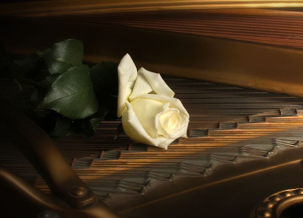 Music For A Rose Art | tommurray