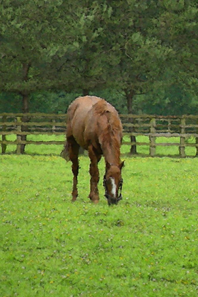Green Pasture Art | tommurray