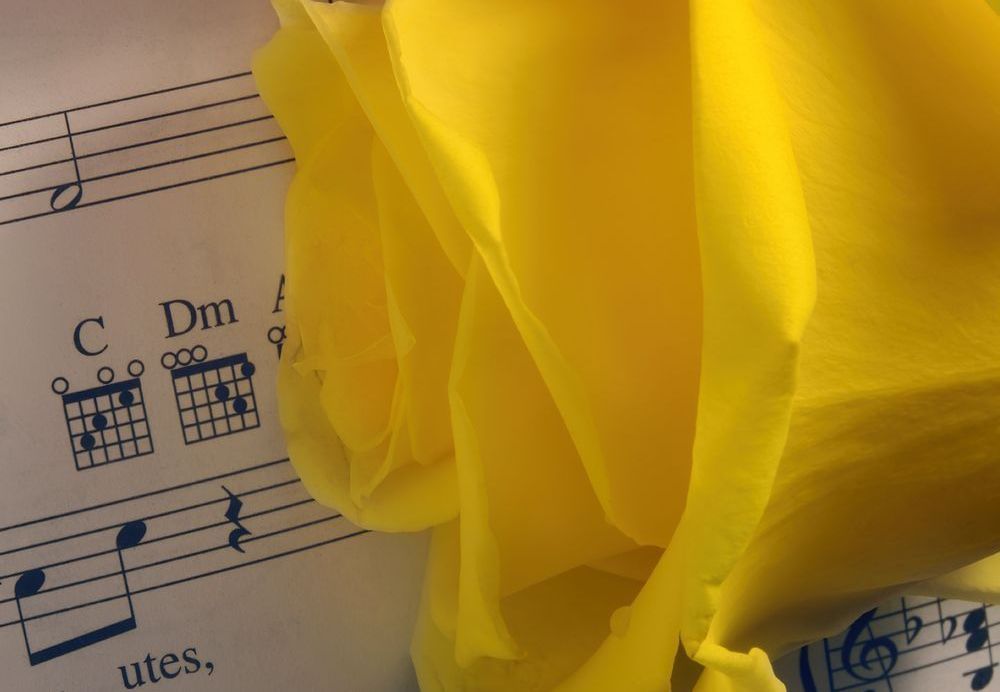 In The Tune Of The Rose Art | tommurray