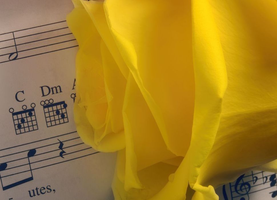 In The Tune Of The Rose Art | tommurray