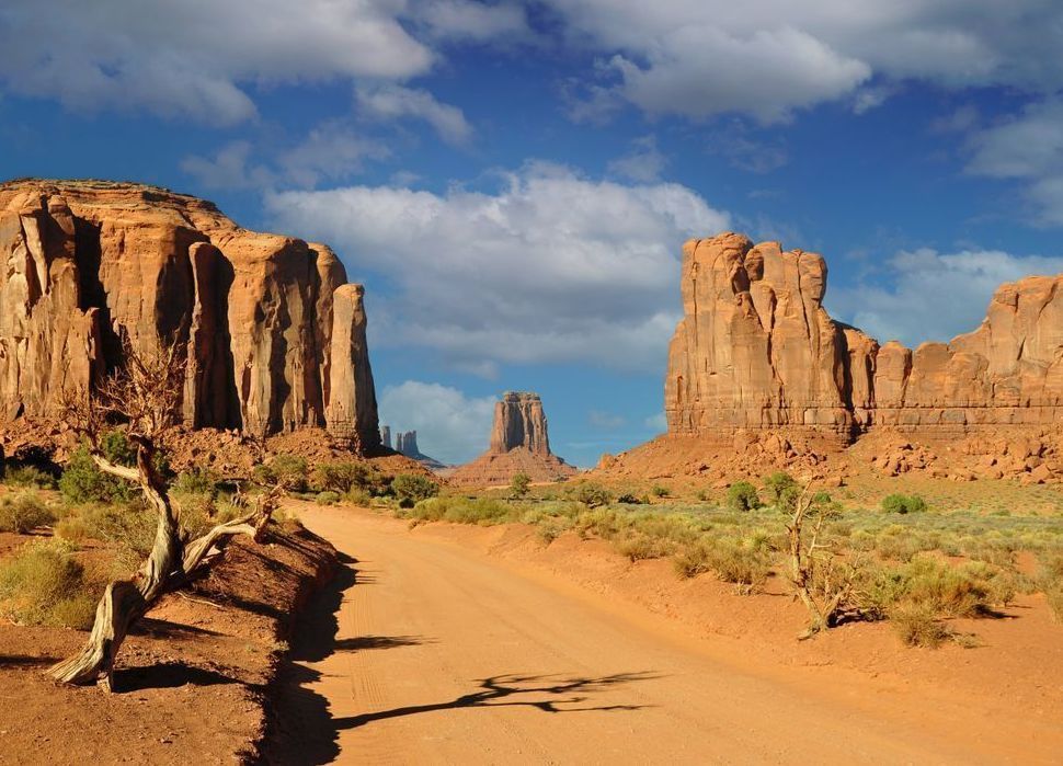 Monument Valley Art | tommurray