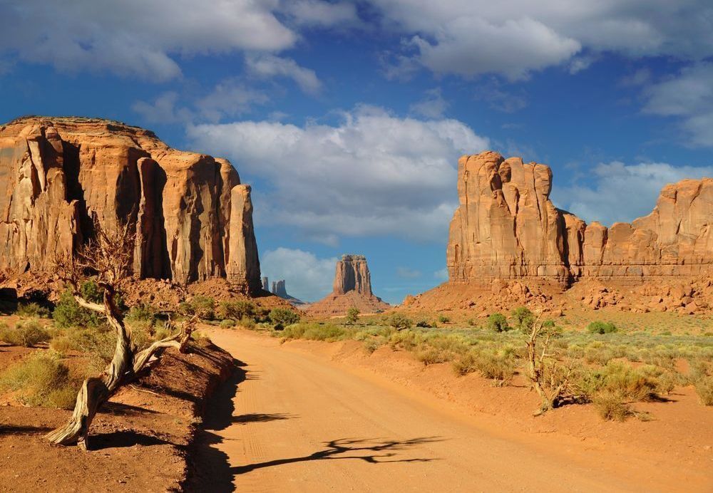 Monument Valley Art | tommurray