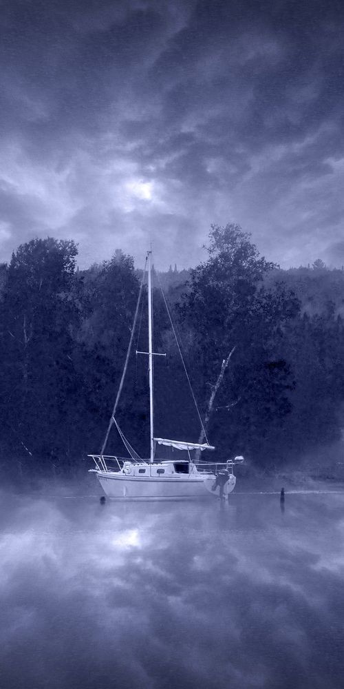 Safe Harbor Art | tommurray
