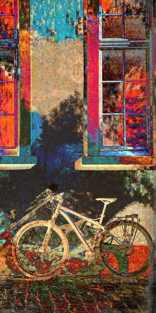 The Bicycle's Dream Art | tommurray