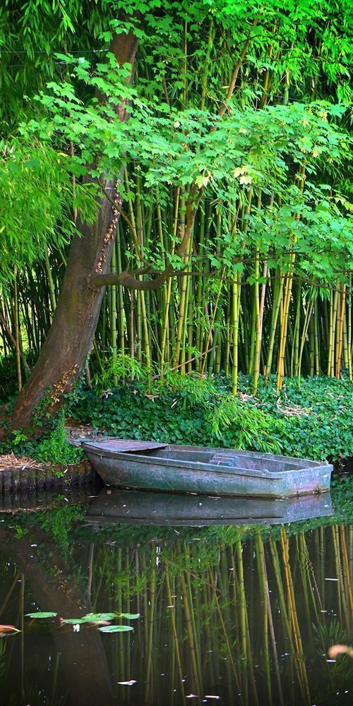 Monet's Boat Art | tommurray