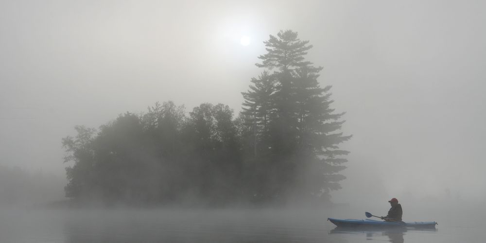 Morning Mist Art | tommurray