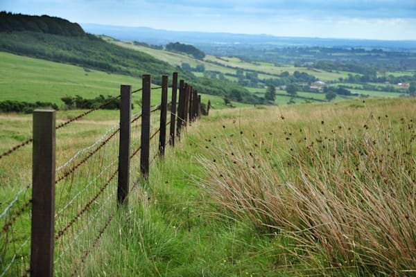Irish Midlands Landscape Wall Art – Rolling Green Fields & Rustic Fence Line Photography Print