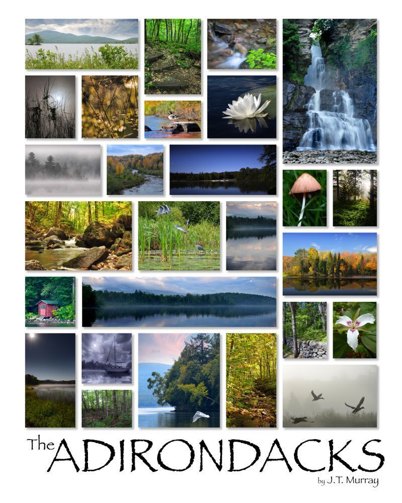 Adirondack Sampler Art | tommurray