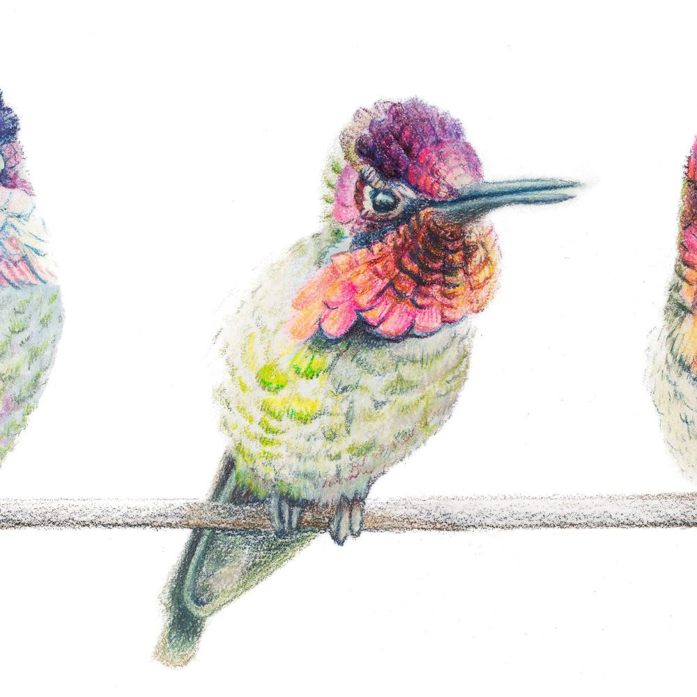 Mdawmdawmdawmdaw7qgraepd6cacehr zcfbfywxu2fyveayeunrgwctqqqltnerwweter6yomfiojy24adow ljj7f22f2vd2s3k0fn 38ezqodftc2xeuhdjufahdziomokxodj3hs jg da6ji5eudq olwagpj5emn40s2eizn3marlbmeimspsmr3w2okrn clor7psfbfzlnw7xpglr1e 6ftzfk7gmyfumr lib26uwcosewvd7b67mbzhnsxm61go8a7hwrhnyxda50mht6g6vbnk10gnu zqc8xexz22hu