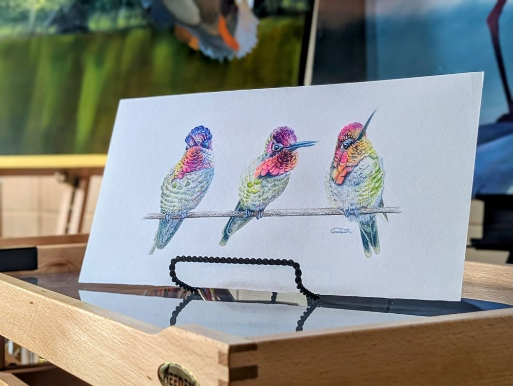 Mdawmdawmdawmdaw7qgraepd6cacehr zcfbfywxu2fyveayeunrgwctqqqltnerwweter6yomfiojy24adow ljj7f22f2vd2s3k0fn 38ezqodftc2xeuhdjufahdziomokxodj3hs jg da6ji5eudq olwagpj5emn41s3glann5cblbmeimspsmr3w2okrn clor7psfbfzlnw7xpglr1e 6ftzfk7gmyfumr lib26uwcosewvd7b67mbzhnsxm61go8a7hwrhnyxda50mht6g6zjgb52ptwdurdvnkvqnn9i