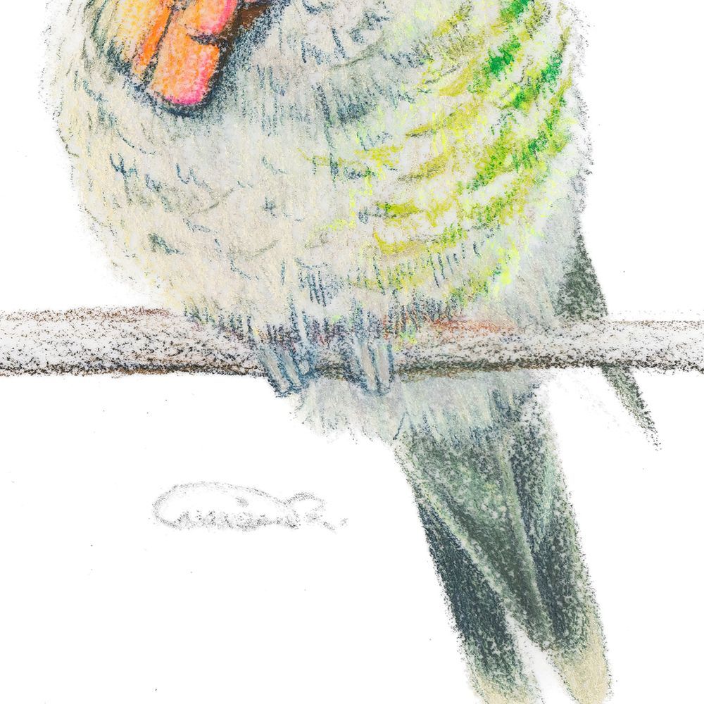 Mdawmdawmdawmdaw7qgraepd6cacehr zcfbfywxu2fyveayeunrgwctqqqltnerwweter6yomfiojy24adow ljj7f22f2vd2s3k0fn 38ezqodftc2xeuhdjufahdziomokxodj3hs jg da6ji5eudq olwagpj5emn42s3 canl4brlbmeimspsmr3w3okrn clor7psfbfzlnw7xpglr1e 6ftzfk7gmyfumr lib26uwcosewvd7b67mbzhnsxm61go8a7hwrhnyxda50mht6g6fnwmifvw1x69 j8 cb u30