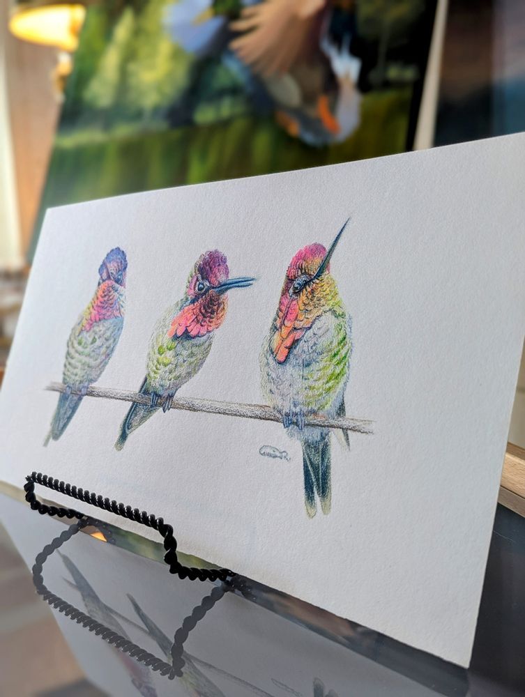 Mdawmdawmdawmdaw7qgraepd6cacehr zcfbfywxu2fyveayeunrgwctqqqltnerwweter6yomfiojy24adow ljj7f22f2vd2s3k0fn 38ezqodftc2xeuhdjufahdziomokxodj3hs jg da6ji5eudq olwagpj5emn43s3gdenflarlbmeimspsmr3w3okrn clor7psfbfzlnw7xpglr1e 6ftzfk7gmyfumr lib26uwcosewvd7b67mbzhnsxm61go8a7hwrhnyxda50mht6g6bgvccirbhtdj74eiixdrag