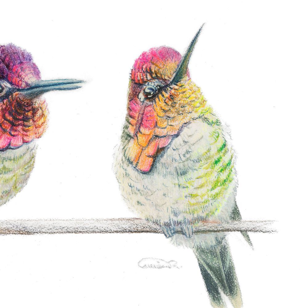 Mdawmdawmdawmdaw7qgraepd6cacehr zcfbfywxu2fyveayeunrgwctqqqltnerwweter6yomfiojy24adow ljj7f22f2vd2s3k0fn 38ezqodftc2xeuhdjufahdziomokxodj3hs jg da6ji5eudq olwagpj5emn46s2jepyvjaxlbmeimspsmr3wwokrn clor7psfbfzlnw7xpglr1e 6ftzfk7gmyfumr lib26uwcosewvd7b67mbzhnsxm61go8a7hwrhnyxda50mht6g6ybs1q 8ule89bi ntmgnyq