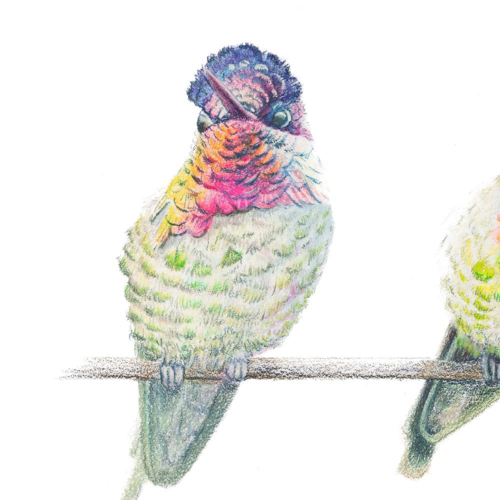 Mdawmdawmdawmdaw7qgraepd6cacehr zcfbfywxu2fyveayeunrgwctqqqltnerwweter6yomfiojy24adow ljj7f22f2vd2s3k0fn 38ezqodftc2xeuhdjufahdziomokxodj3hs jg da6ji5eudq olwagpj5emn4ws2uba8brdrlbmeimspsmr3w3okrn clor7psfbfzlnw7xpglr1e 6ftzfk7gmyfumr lib26uwcosewvd7b67mbzhnsxm61go8a7hwrhnyxda50mht6g6tbiugm8uhxqul9ldcbweo8