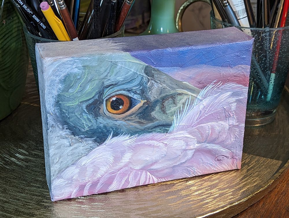 Mdawmdawmdawmdaw7qgraepd6cacehr zcfbfywxu2fyveayeunrgwctqqqltnerwweter6yomfiojy24adow ljj7f22f2vd2s3k0fn 38ezqodftc2xeuhdjufahdziomokxodj3hs jg da6ji5eudq olwagpj5emn51fxovy9l p1ygc0di7mtobjbzof8hp9haufknqusemmmui7vdwkww9kwvskevmsdshfosieuiruwz4ab9pe8x58fqvtqeh784cosrhhq3z5bjap0qdzsu8ginzif4ekwhkojrpsdw2lgjm9z8uua1sg21yg