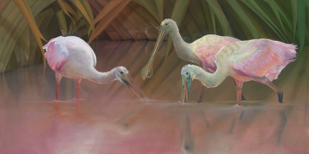 Captivating Roseate Spoonbill Fine Art Print by Allison Richter - 'Slanted Sun's Last Call' in Coastal Marshes