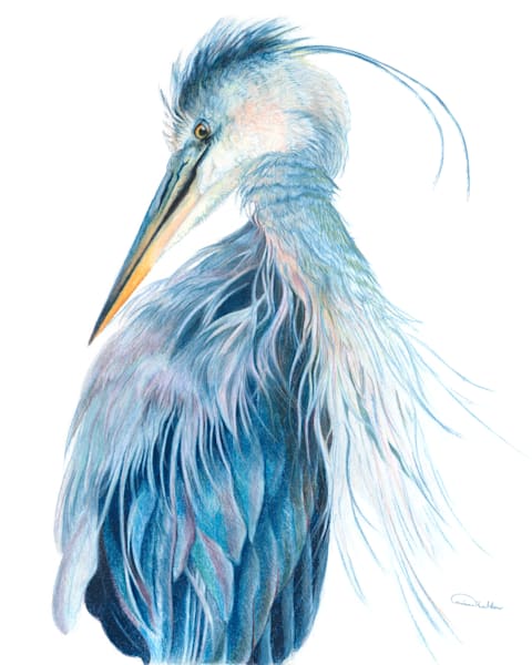 "Presumed Melancholy" - Captivating Blue Heron Fine Art Print by Allison Richter