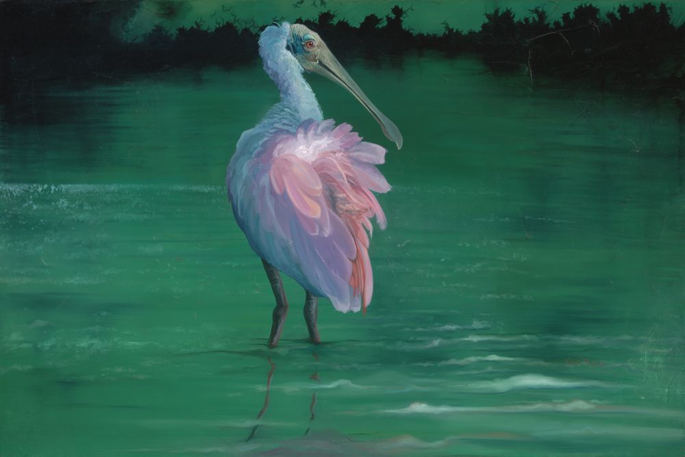 Captivating Roseate Spoonbill Fine Art Print: Find Serenity in Every Brushstroke by Allison Richter