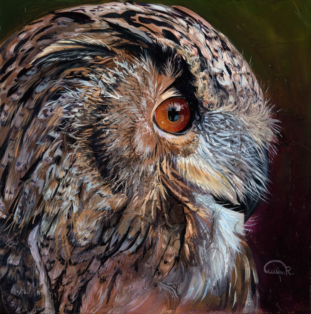 Eagle Owl Fine Art Print for Sale by International Artist Allison Richter