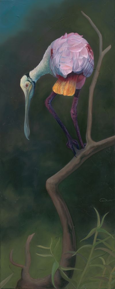 "Light as a Feather" - Majestic Roseate Spoonbill Fine Art Print by Allison Richter