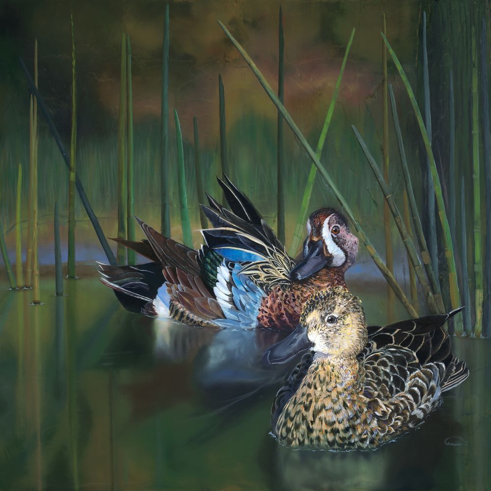 "Happenstance" Fine Art Print - In Support Florida Wetlands Conservation