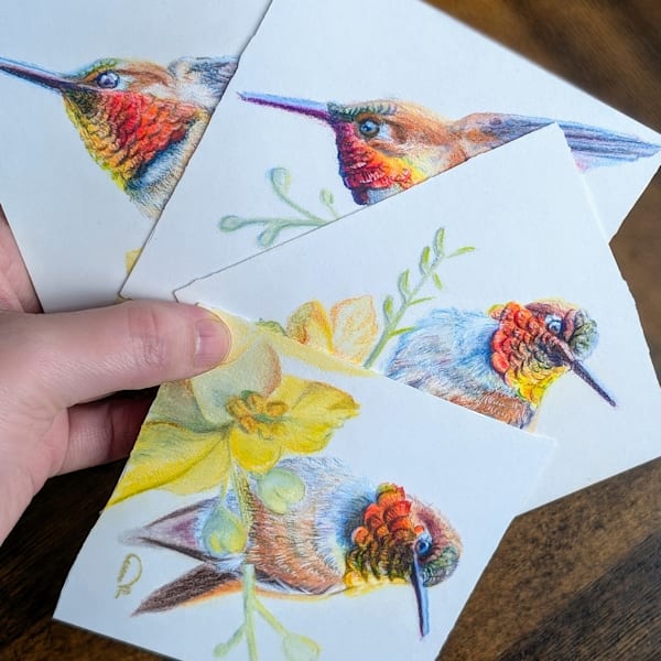 Gemwing Rufous Hummingbird Quartet – Set of 4 Original Color Pencil Artworks by Allison Richter