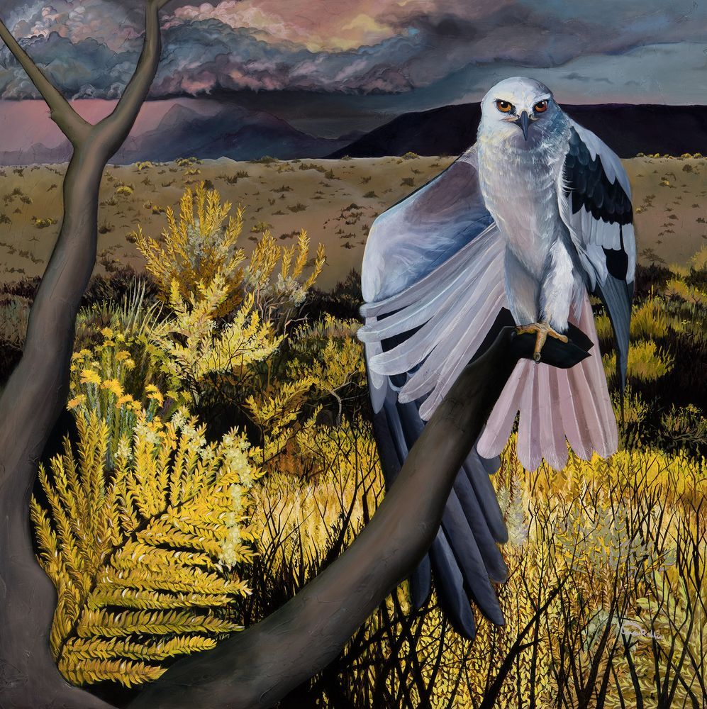 Mdawmdawmdawmdaw7qgraepd6cacehr zcfbfywxu2fyveayeunrgwctqqqltnerwweter6yomfiojy24adow ljj7f22f2vd2s3k0fn 38ezqodftc2xeuhdjufahdziomokxodj3hs jg da6ji5eudq olwagpj5emn5jfwmxpiohugksphrm muxrni8jfgvrd1rv n0blgi3pe92 grxvg 6luou7ytliaz0makibkhur5yqevhdrh6 4orhibdwvo4y8b2r1alxyvbrcrywsvfridv3o20fweu smhuxxhao rp7tc3yan