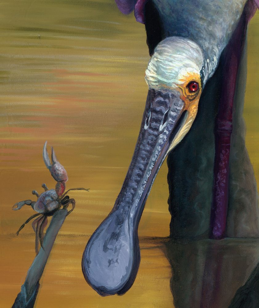 Mdawmdawmdawmdaw7qgraepd6cacehr zcfbfywxu2fyveayeunrgwctqqqltnerwweter6yomfiojy24adow ljj7f22f2vd2s3k0fn 38ezqodftc2xeuhdjufahdziomokxodj3hs jg da6ji5eudq olwagpj5emn5lr3ixv9zkmnqozbps cdnfnzrda18sdpuxpsptescxotnw kydbjz7qsosaaklyfwi m2bl ghfqh6uvubbpjqzilucflwulyo8akewlyndpbcjwmhxprtmemismhaeygz 8mp3g09vzuin0a27x0payx1gcc a