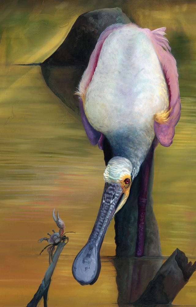 Mdawmdawmdawmdaw7qgraepd6cacehr zcfbfywxu2fyveayeunrgwctqqqltnerwweter6yomfiojy24adow ljj7f22f2vd2s3k0fn 38ezqodftc2xeuhdjufahdziomokxodj3hs jg da6ji5eudq olwagpj5emn5lr3ixv9zkmnqoahnzu rpejr2ja84r91bvvcnqokfwp0j2f5dahwl6lenvlotij5anvswbalxbdubsar ckuxsyprvspp3798nyophwd9gyxda50mhw f438bmtxrge0hz 9rh1j2fk3pdyzarhmid tspb f