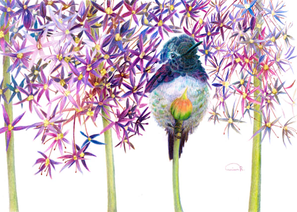 Allison Richter's 'Petal Pusher': Costa's Hummingbird Artwork Inspired by Shape Repetition